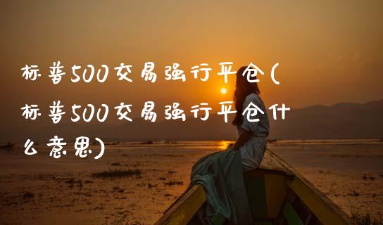 标普500交易强行平仓(标普500交易强行平仓什么意思)