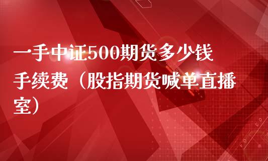 一手中证500期货多少钱手续费（股指期货喊单直播室）