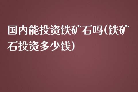 国内能投资铁矿石吗(铁矿石投资多少钱)