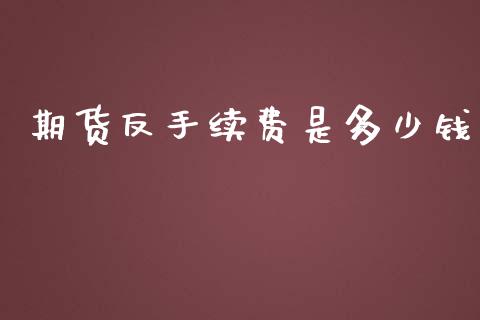 期货反手续费是多少钱