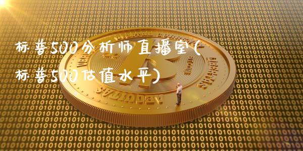 标普500分析师直播室(标普500估值水平)