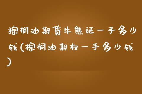 棕榈油期货牛熊证一手多少钱(棕榈油期权一手多少钱)