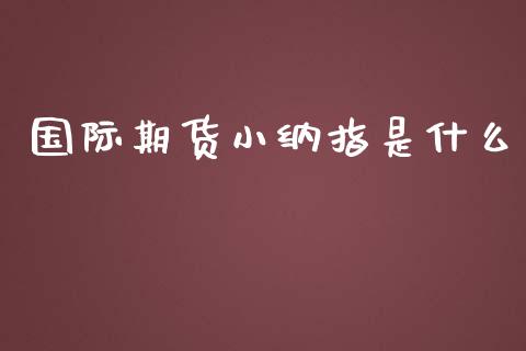 国际期货小纳指是什么