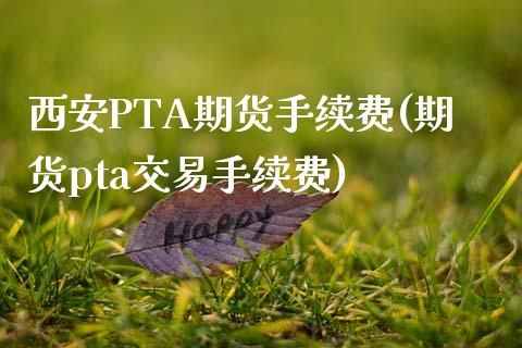 西安PTA期货手续费(期货pta交易手续费)