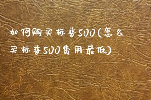 如何购买标普500(怎么买标普500费用最低)