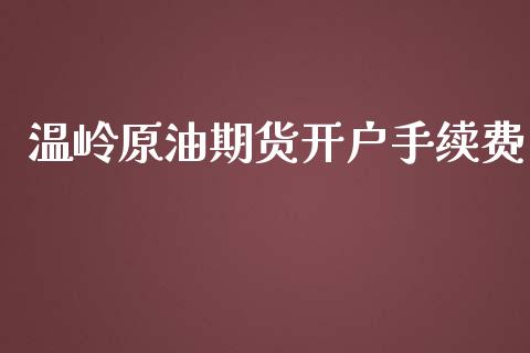 温岭原油期货开户手续费