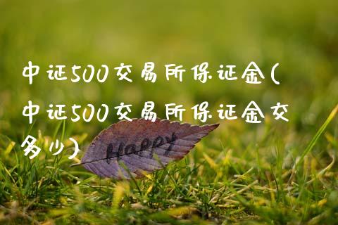 中证500交易所保证金(中证500交易所保证金交多少)