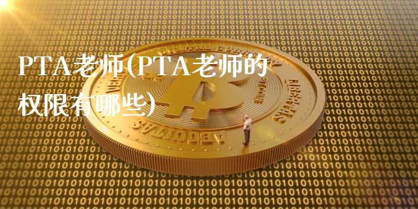 PTA老师(PTA老师的权限有哪些)